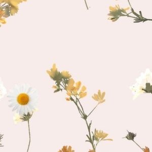 Meet your Posher, Todd